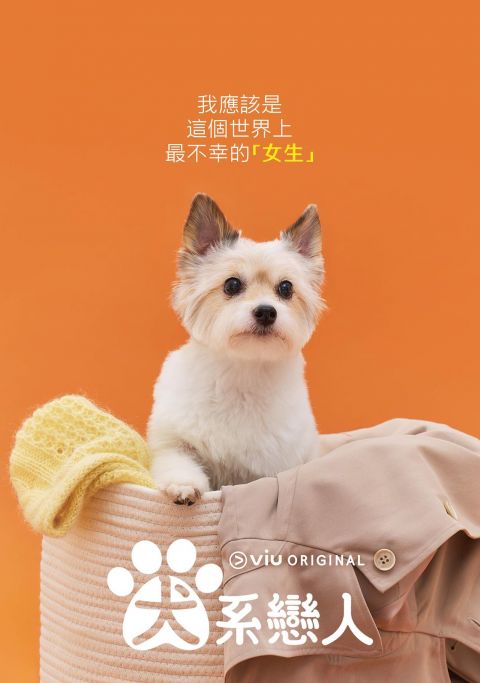 年度浪漫喜剧《犬系恋人》四大看点：车银优、朴圭瑛、李玹雨超好感「撕漫男女」大集合！ 韩剧 第4张-剧情网