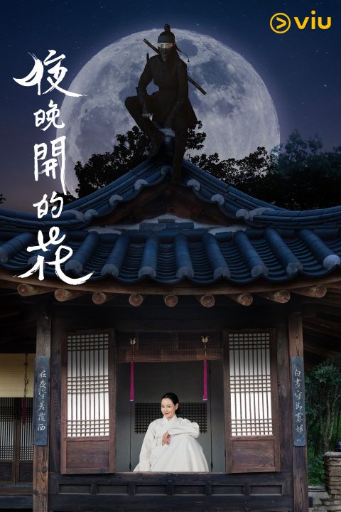 《夜晚开的花》开播三集收视率破10%！李荷妮化身「叛逆寡妇」上演古装喜剧，剧情轻松逗趣、最新扮男装喜感升级 韩剧 第2张-剧情网